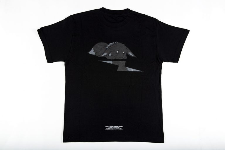 fragment pokemon shirt